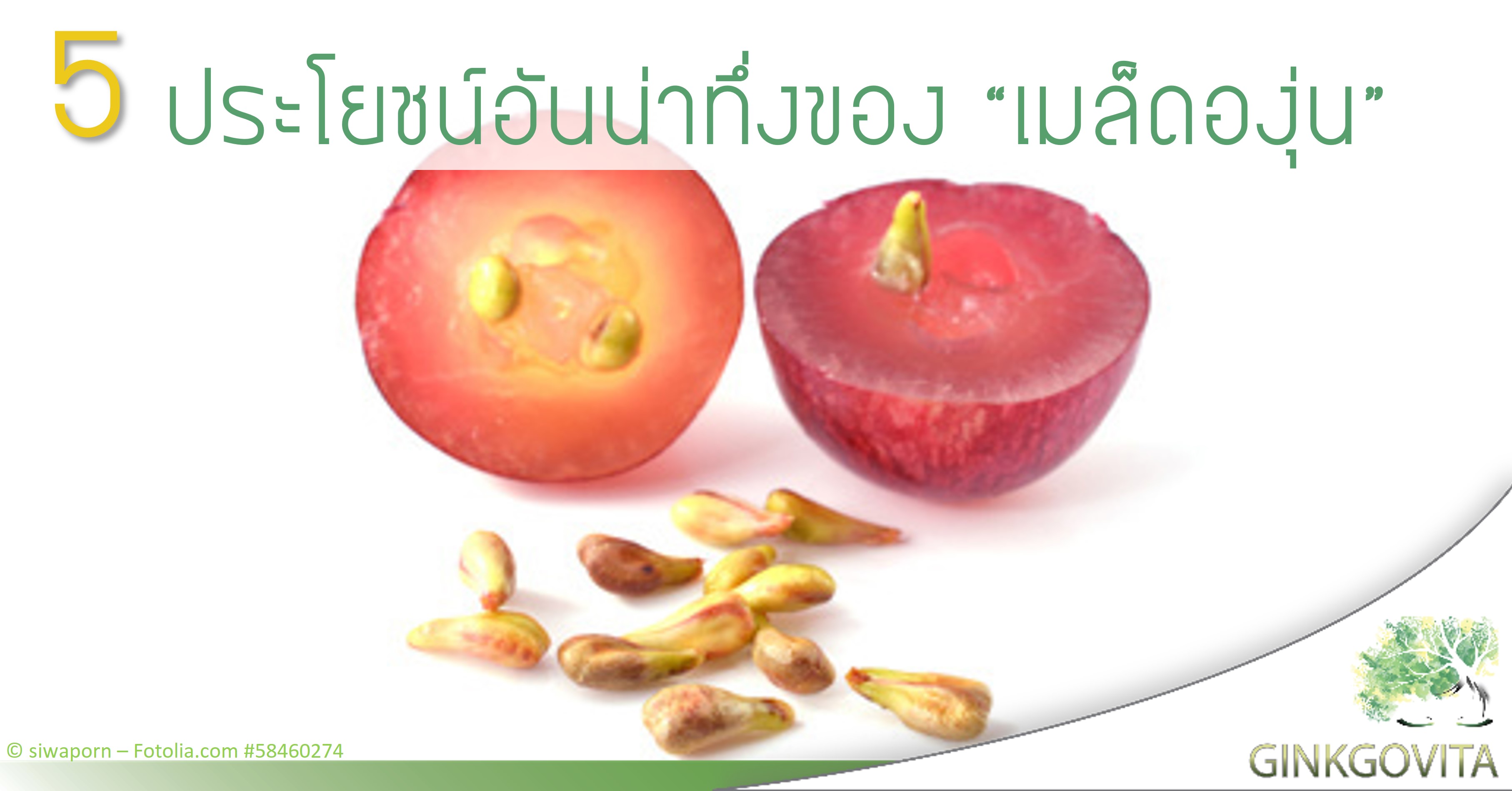 Ginkgovita grapeseed